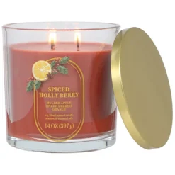 Sonoma Goods For Life® 14-oz. Spiced Holly Berry Single Pour Candle -Sonoma Goods For Life Shop 48513156 CC ALT2
