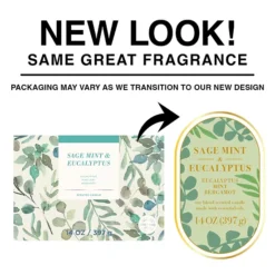 Sonoma Goods For Life® Sage Mint & Eucalyptus 14-oz. Blue Floral Candle Jar -Sonoma Goods For Life Shop 5660130 ALT2