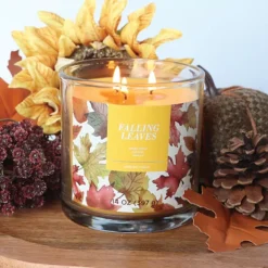 Sonoma Goods For Life® Falling Leaves 14-oz. Single Pour Candle Jar 9 Sonoma Goods For Life® Falling Leaves 14-oz. Single Pour Candle Jar -Sonoma Goods For Life Shop 6933629 ALT3