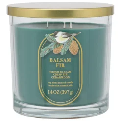 Sonoma Goods For Life® 14-oz. Balsam Fir Single Pour Candle Jar