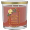Sonoma Goods For Life® 14-oz. Spiced Holly Berry Single Pour Candle 2 Sonoma Goods For Life® 14-oz. Spiced Holly Berry Single Pour Candle -Sonoma Goods For Life Shop 7087416