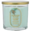 Sonoma Goods For Life® 14-oz. Enchanted Balsam Single Pour Candle