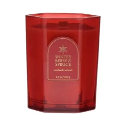 Sonoma Goods For Life® Winter Berry & Spruce 7.3-oz. Scented Candle