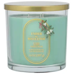 Sonoma Goods For Life® Under The Mistletoe Floral Berry Vanilla Musk 14-oz. Large Candle Jar