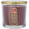 Sonoma Goods For Life® Holiday Cabernet 14-oz. Soy Blend Scented Candle 2 Sonoma Goods For Life® Holiday Cabernet 14-oz. Soy Blend Scented Candle -Sonoma Goods For Life Shop 7759374
